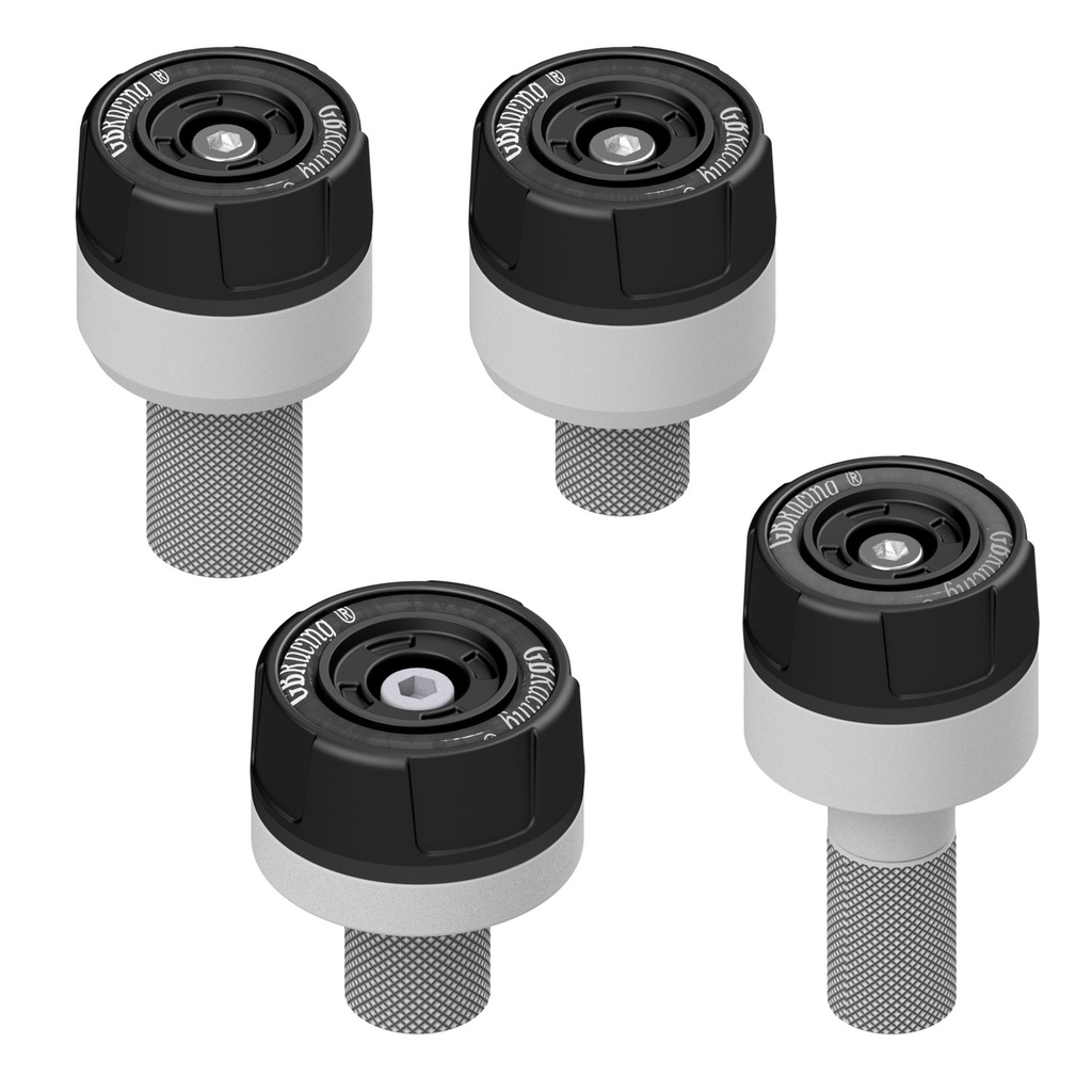 [GSP-RSV4-2010-SET] GBRacing Spindle Protector Set for Aprilia RSV4
